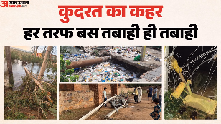 आंधी ने मचाई चारों तरफ तबाही ही तबाही: 200 से अधिक बिजली के खंभे गिरे, 13 ट्रांसफार्मर खराब; 260 पेड़ धराशायी