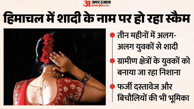 Himachal News: पांच महीने, तीन शादियां और हर बार नया बहाना... हिमाचल में 'लुटेरी दुल्हन' की कहानी ने उड़ाए होश