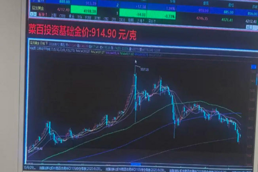 专家解读丨李宇嘉：全面客观看待房地产市场分化
