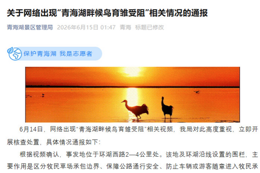 福建漳州传统龙舟赛演绎闽南侨乡文化