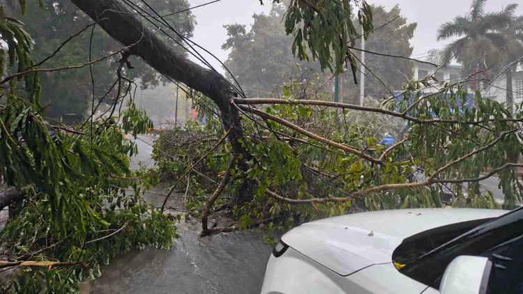 Weather: उत्तर-पश्चिम भारत में 19 जून तक जारी रहेगा बारिश का दौर; धीरे-धीरे बढ़ेगा तापमान