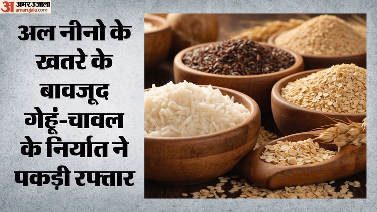 Wheat-Rice Export: बंपर पैदावार और आक्रामक खरीद से भरे गोदाम, देश में गेहूं-चावल का रिकॉर्ड स्टॉक