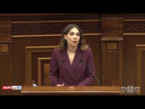 «Միևնույն գործարանային համարով հեռախոսը կալանավայրում գտնվող անձին կրկին փոխանցելու փորձ է արվել»