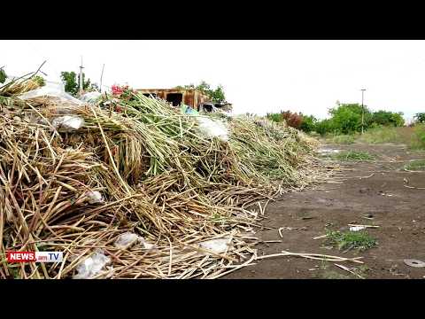 «40 մլնի վնաս եմ կրել 1 տարում»․ ջերմոցատերերն անելանելի վիճակում են