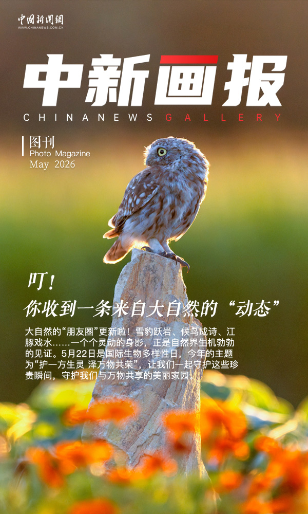 【国际生物多样性日特刊】叮！你收到一条来自大自然的“动态”