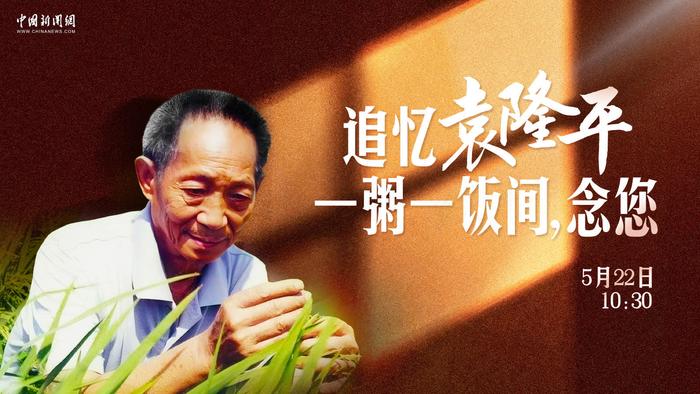 追忆袁隆平，一粥一饭间，念您