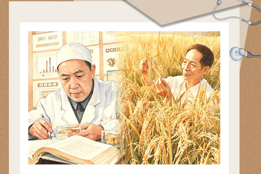 守护家人健康 从营养餐桌开始