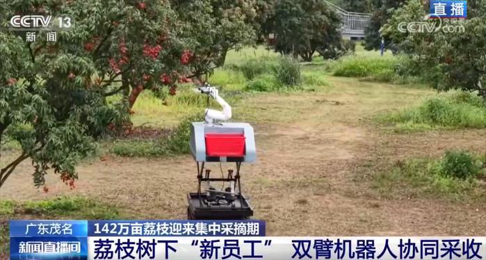 科技助力特色产业耕出好景“智” “小”荔枝串起乡村振兴“大文章”