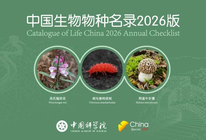 中国生物物种“家底”又厚了！2026版名录新增6154个