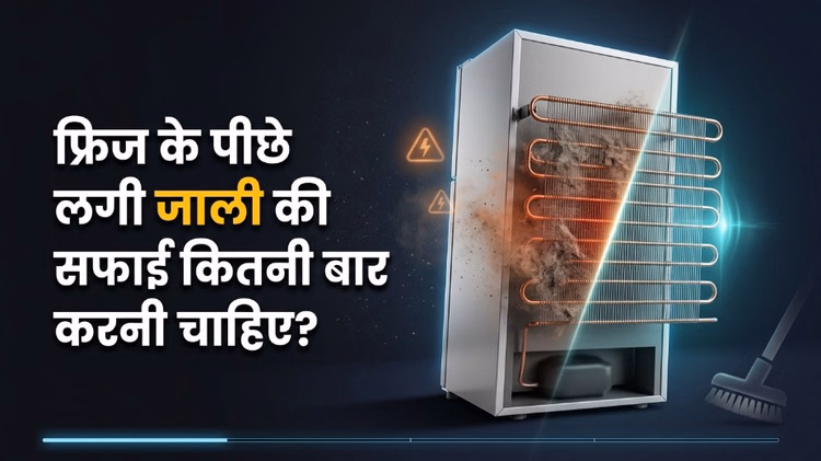 Fridge Care Tips: कूलिंग हो गई है कम या बिजली बिल आ रहा है ज्यादा? फ्रिज के पीछे लगी जाली हो सकती है जिम्मेदार