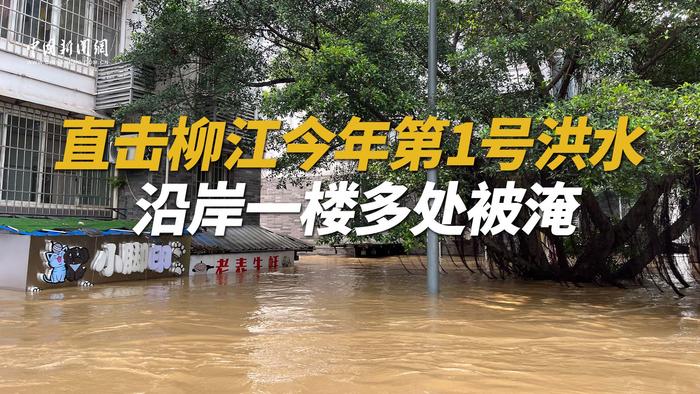直击柳州今年第1号洪水 沿岸一楼多处被淹
