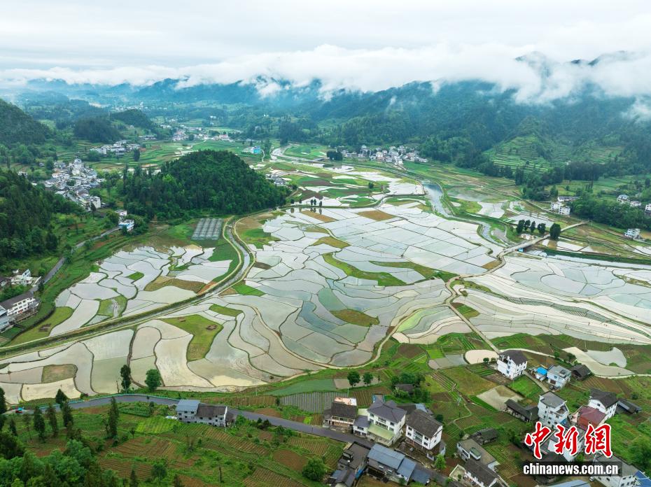 贵州务川：水田铺展现初夏田园风景