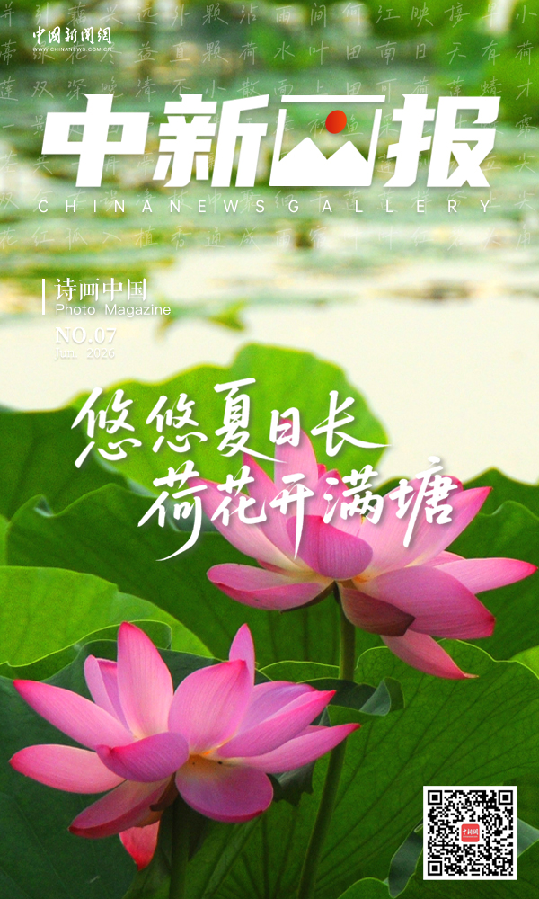 【诗画中国】悠悠夏日长 荷花开满塘