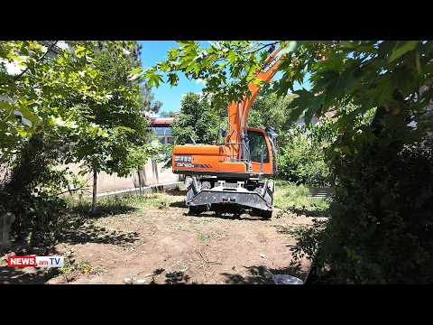 Արթնացանք, տեսանք էքսկավատորը ծառերը քանդում է, որ 9 մետրանոց շենք սարքեն. բողոքի ակցիա