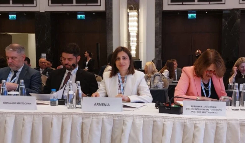 Ավանեսյանը Ստամբուլում մասնակցում է առողջապահական համակարգերի պատրաստվածությանը նվիրված համաժողովին