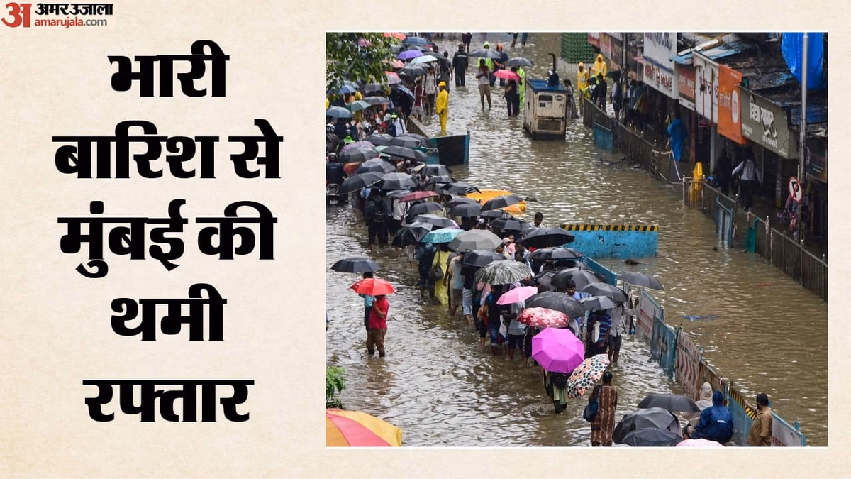 मुंबई में भारी बारिश का कहर: सांताक्रूज में पेड़ गिरने से आठ लोग घायल; पालघर में दीवार ढहने से महिला की मौत