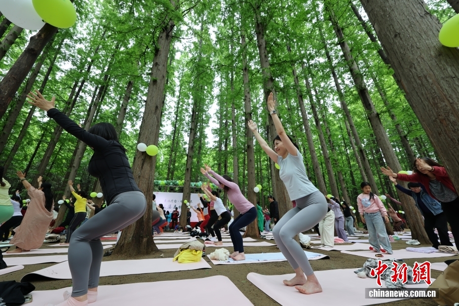 相约天然氧吧 日照海滨国家森林公园举办第三届森林瑜伽节