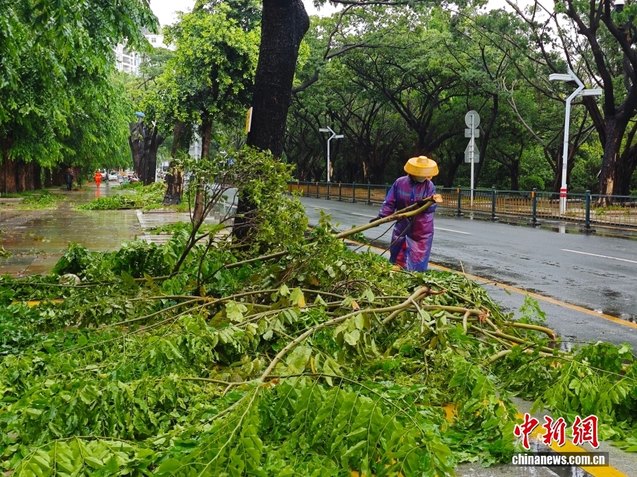 台风“美莎克”影响三亚：树木倒伏，路面积水