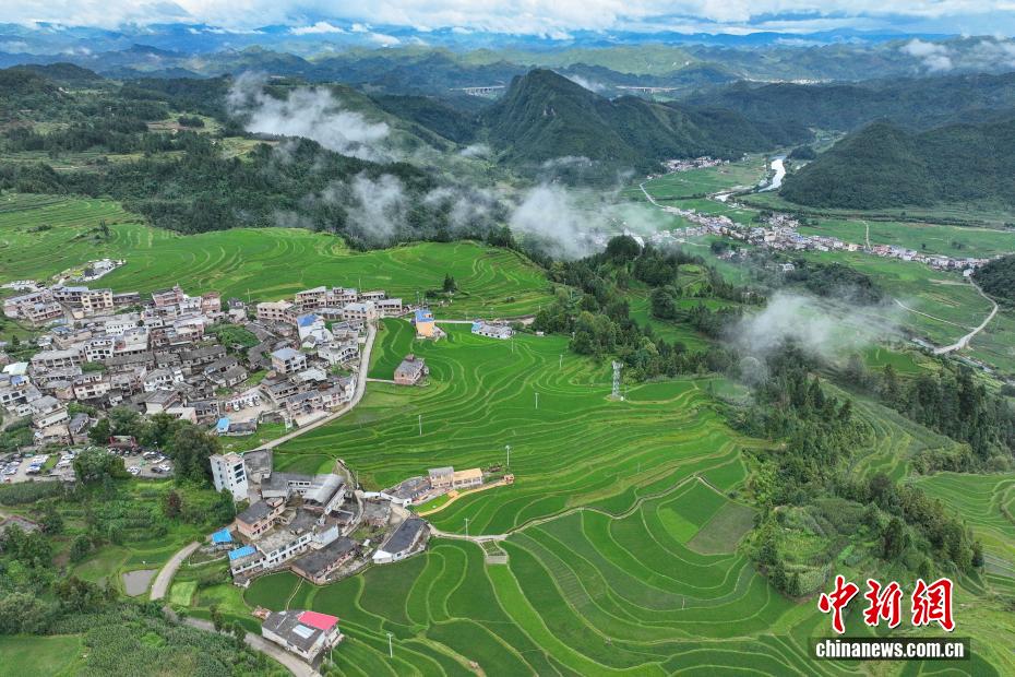 贵州贵定：雨后腊利梯田宛如水墨画卷