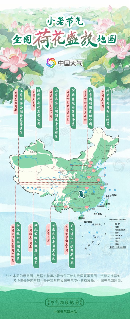 节气物候图鉴：小暑伏将至 全国荷花盛放地图看哪里饱“荷”度拉满