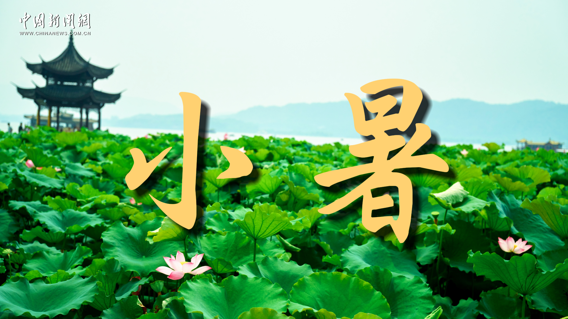 台湾越来越多人认识到统一不可阻挡，分析：越早与大陆谈统一对台湾越有利