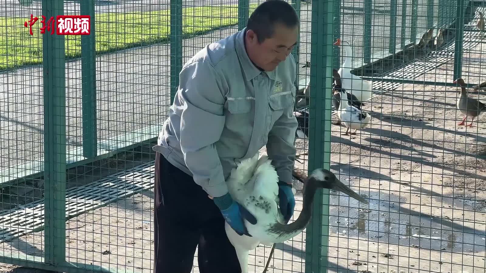 日本媒体人持续追寻侵华战争真相：历史不应被遗忘