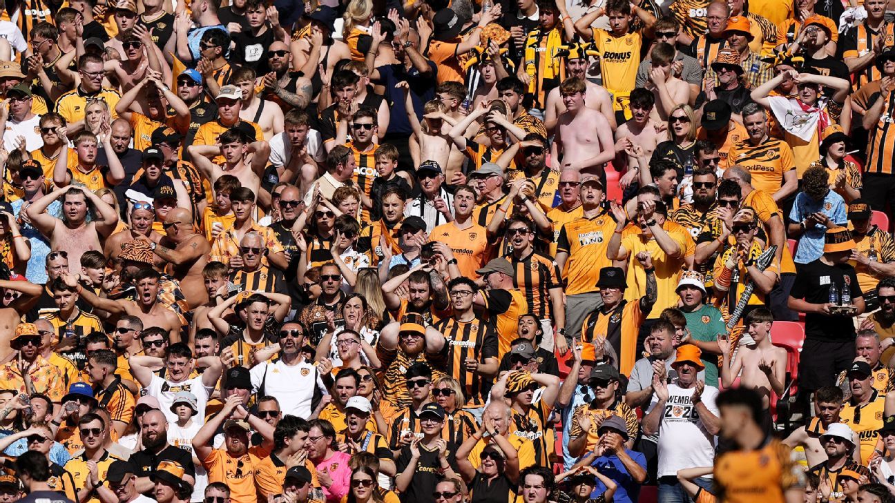 Jubilant Hull City promoted to the Premier League