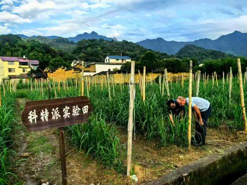 中国新版国家基本药物目录将创新药纳入遴选调整范围