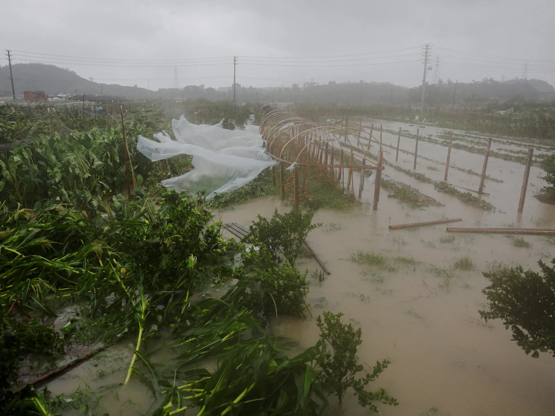Typhoon Bavi weakens to tropical storm as it slams into eastern China