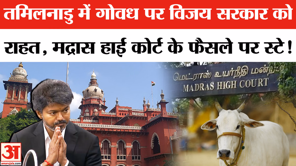 तमिलनाडु की विजय सरकार को सुप्रीम कोर्ट से बड़ी राहत, मद्रास हाई कोर्ट के गोवध प्रतिबंध वाले आदेश पर रोक