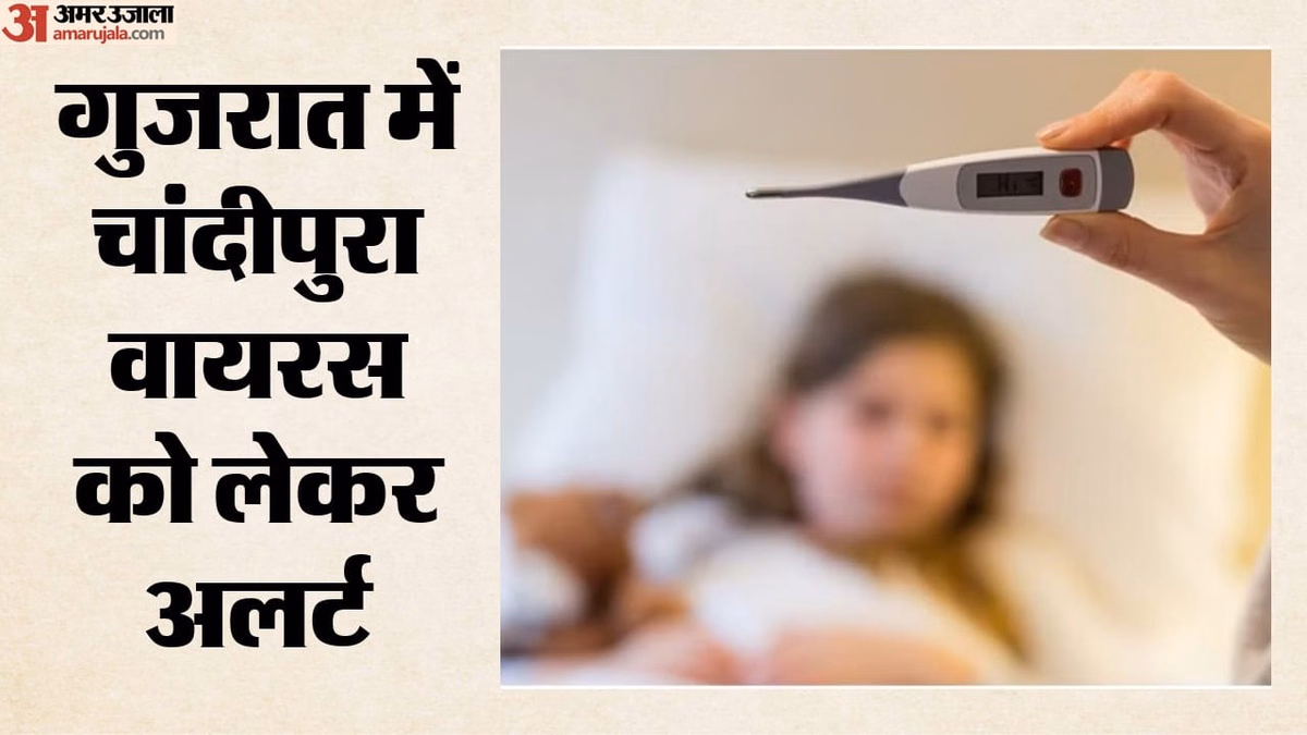 Gujarat: गुजरात में चांदीपुरा वायरस के मामले बढ़े, सात संक्रमितों में तीन की मौत, क्या है सरकार की तैयारी?