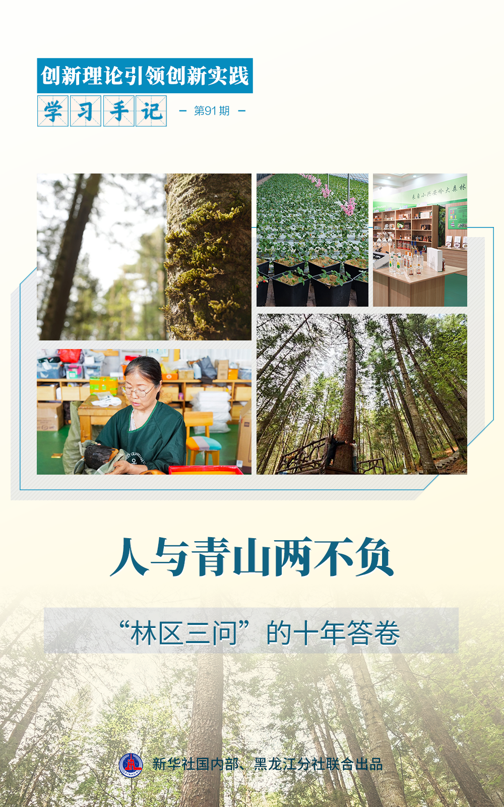学习手记·创新理论引领创新实践丨人与青山两不负——“林区三问”的十年答卷