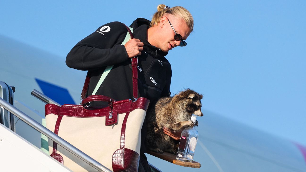 Haaland, Norway return home to heroes' welcome