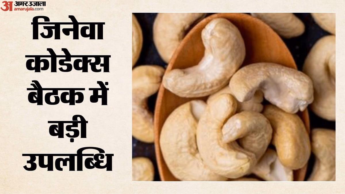 CAC: काजू के लिए बनेगा पहला अंतरराष्ट्रीय मानक, धनिया-करी पत्ते समेत सात भारतीय प्रस्तावों को वैश्विक मंजूरी