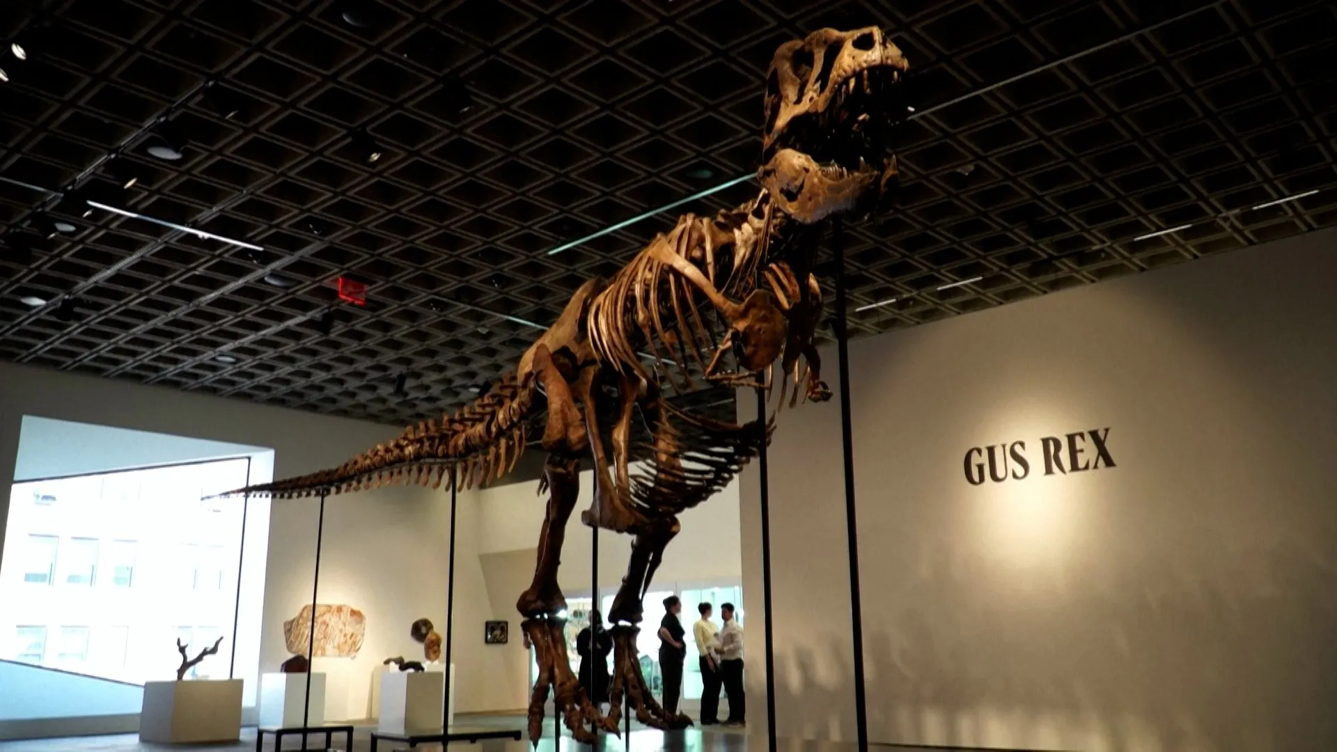 T.Rex skeleton sells for $50.1 million at New York auction