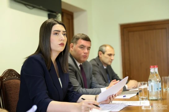 ՆԳ նախարարը պահանջել է ընտանեկան բռնության դեպքերով տարածքային ստորաբաժանումներում ակտիվացնել կանխարգելիչ աշխատանքները