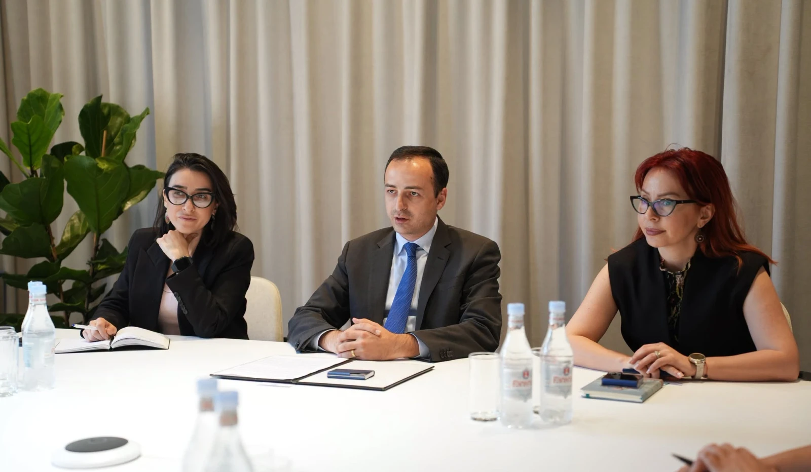 Էստոնիայի դեսպանի հետ քննարկել են թվայնացման  ոլորտում Հայաստանի զարգացման օրակարգին աջակցելու հնարավորությունները