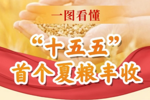 “七下八上”防汛关键期灾害风险高 国家防总最新部署