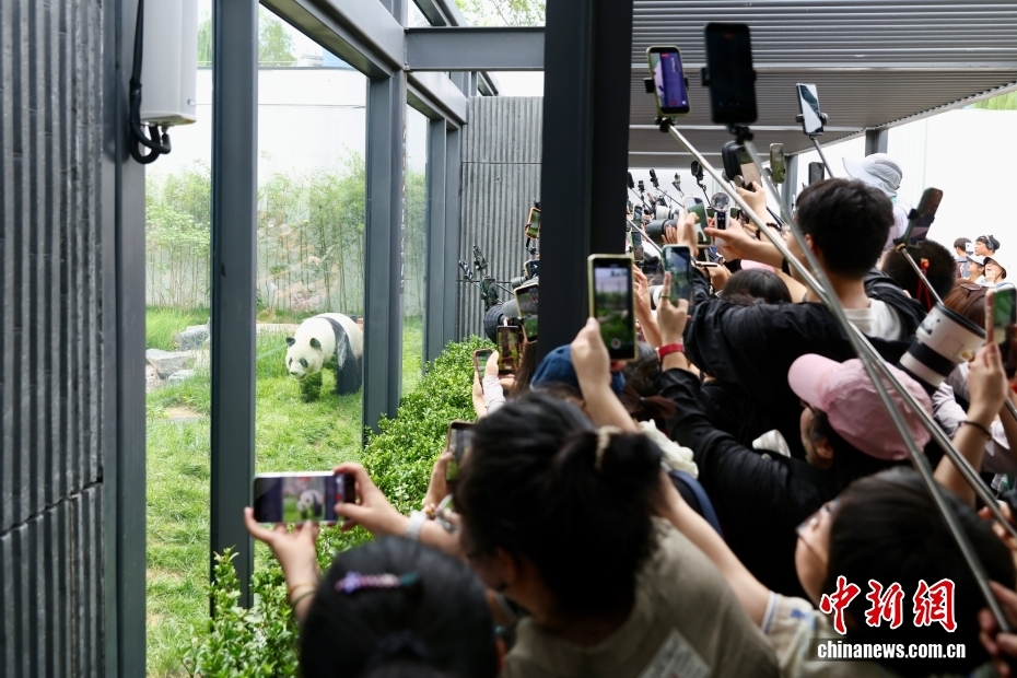 北京动物园大熊猫新馆正式向公众开放