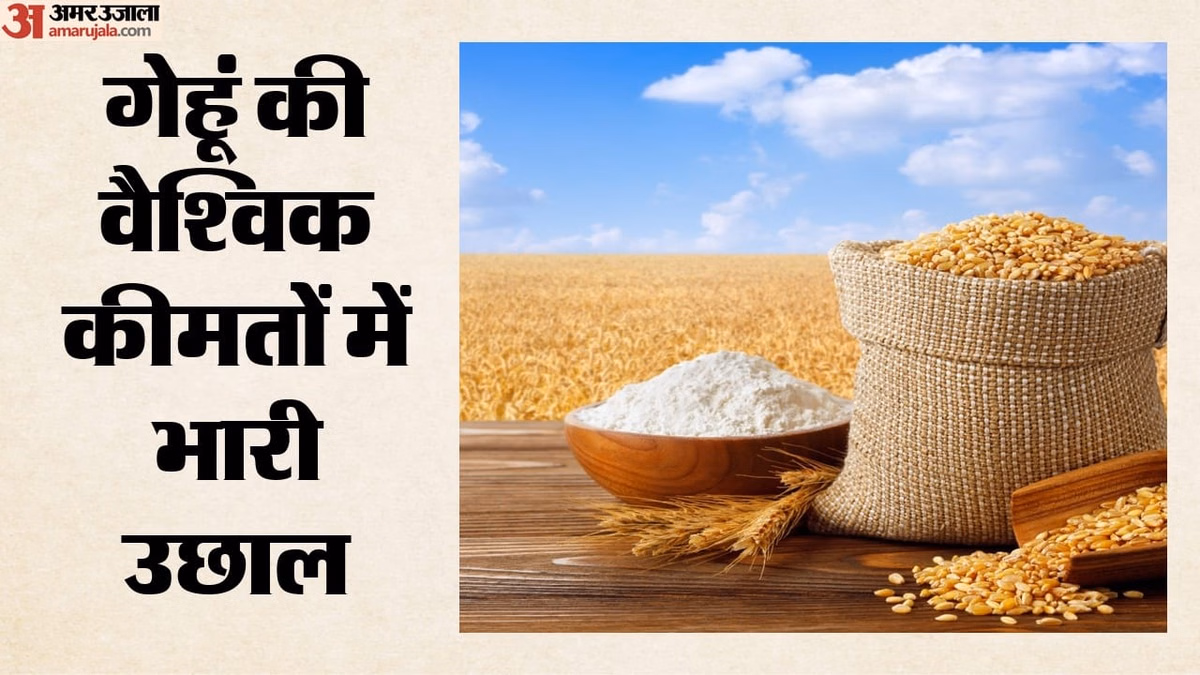 Inflation: गेहूं एक महीने में 8 फीसदी महंगा, बढ़ सकती हैं खाद्य तेल की कीमतें; क्यों बिगड़ रहा रसोई का बजट?