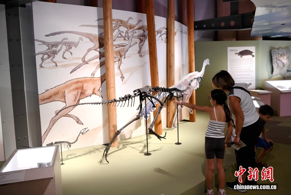 “追寻恐龙的足迹”展览在巴黎揭幕