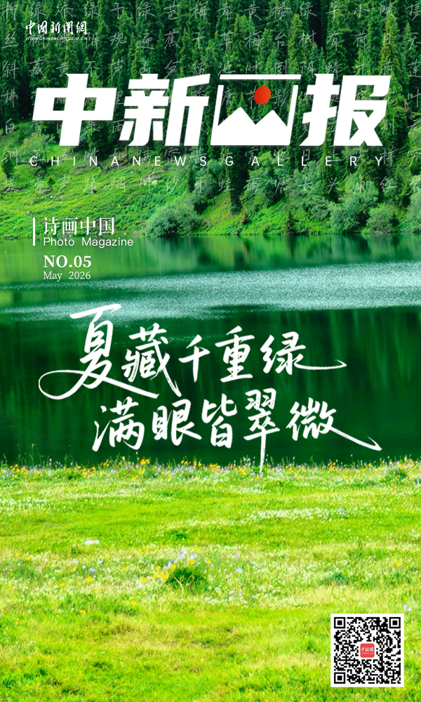 【诗画中国】夏藏千重绿 满眼皆翠微