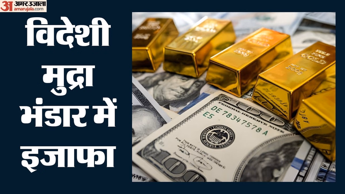 Forex Reserves: भारत के विदेशी मुद्रा भंडार में वृद्धि, 675 अरब डॉलर के पार पहुंचा आंकड़ा