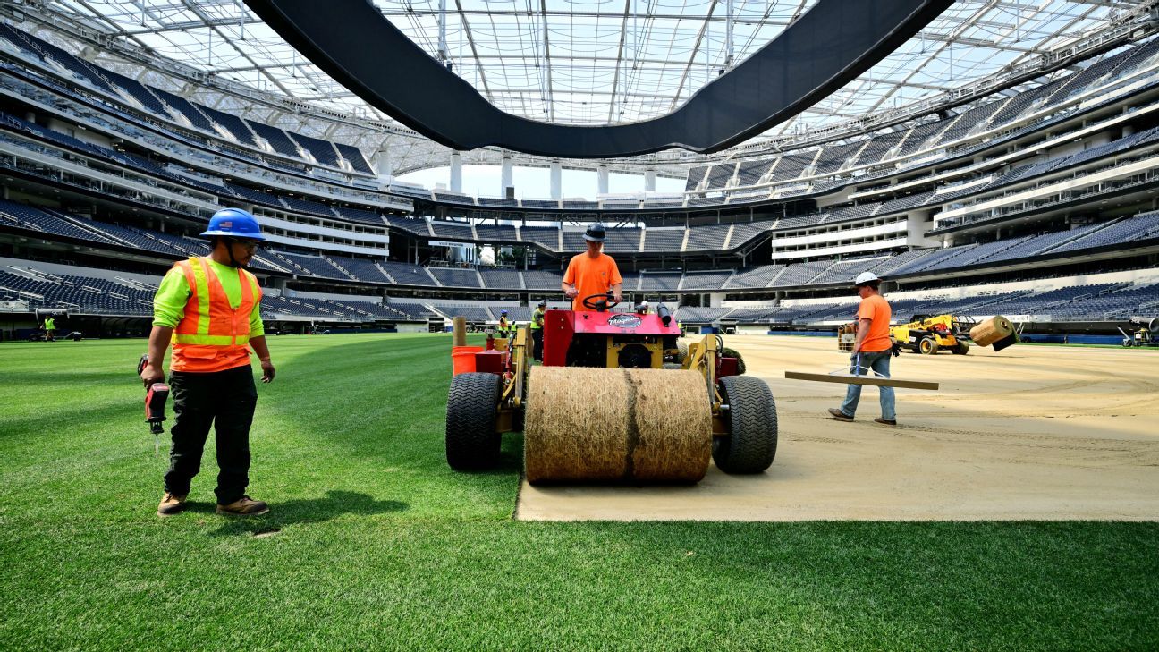 NFL players renew push for grass on heels of WC