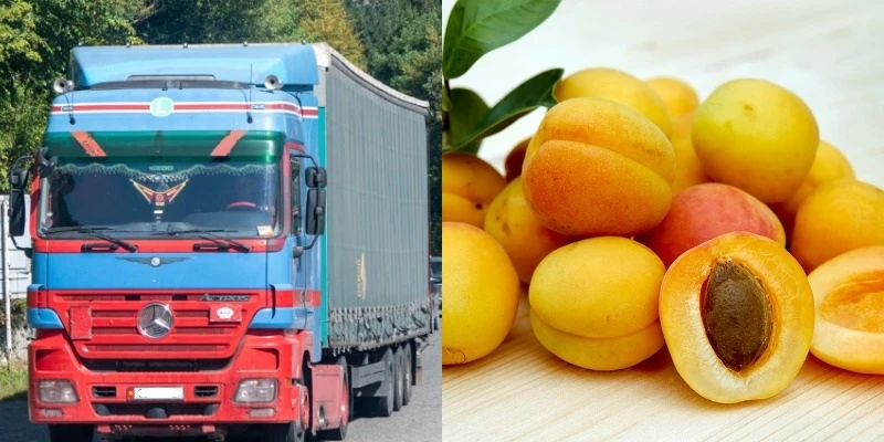 Իսպանիա հասած հայկական ծիրանի ամբողջ խմբաքանակը փչացել է. պիտանի չէ իրացման