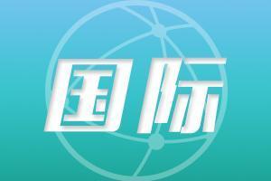 （国际观察）伯纳姆能否“重塑英国”？