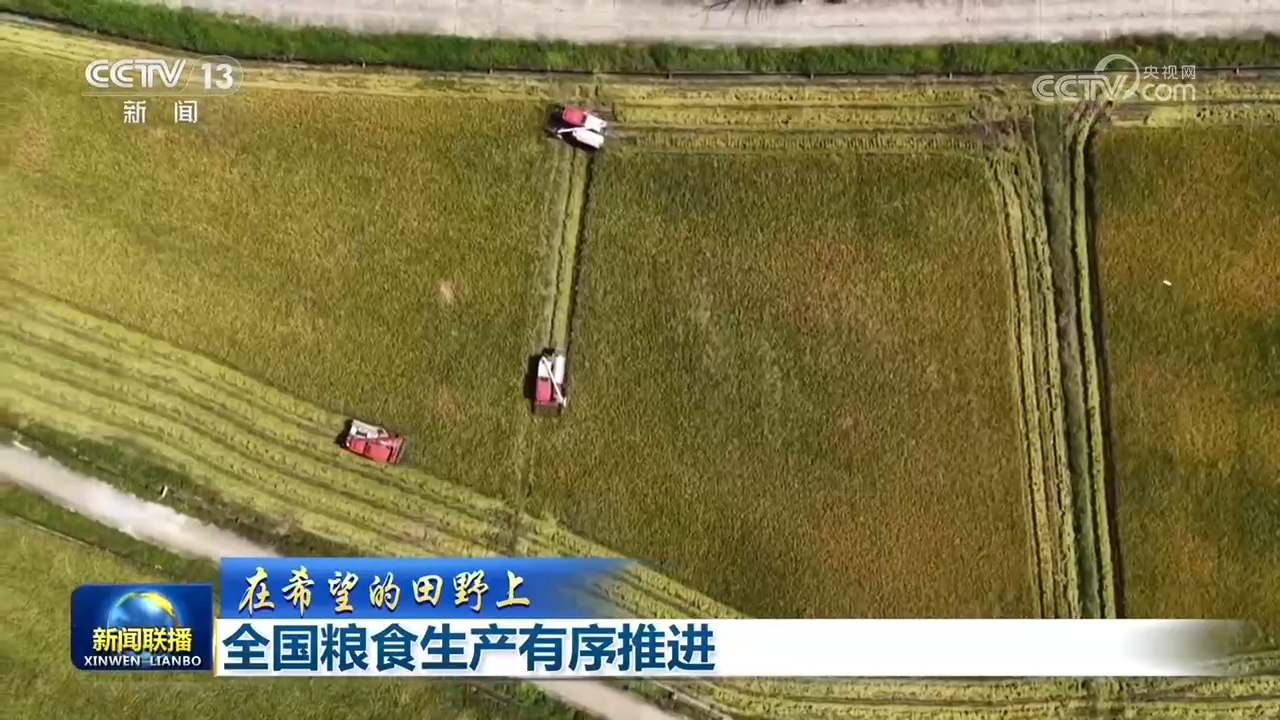 【在希望的田野上】全国粮食生产有序推进
