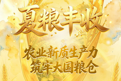 203.6亿订单与40万人次，刻下AI扎根中国的时代回响