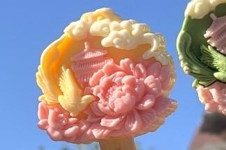 海南国际旅行卫生保健中心仪器设备计量服务采购项目比选成交公告