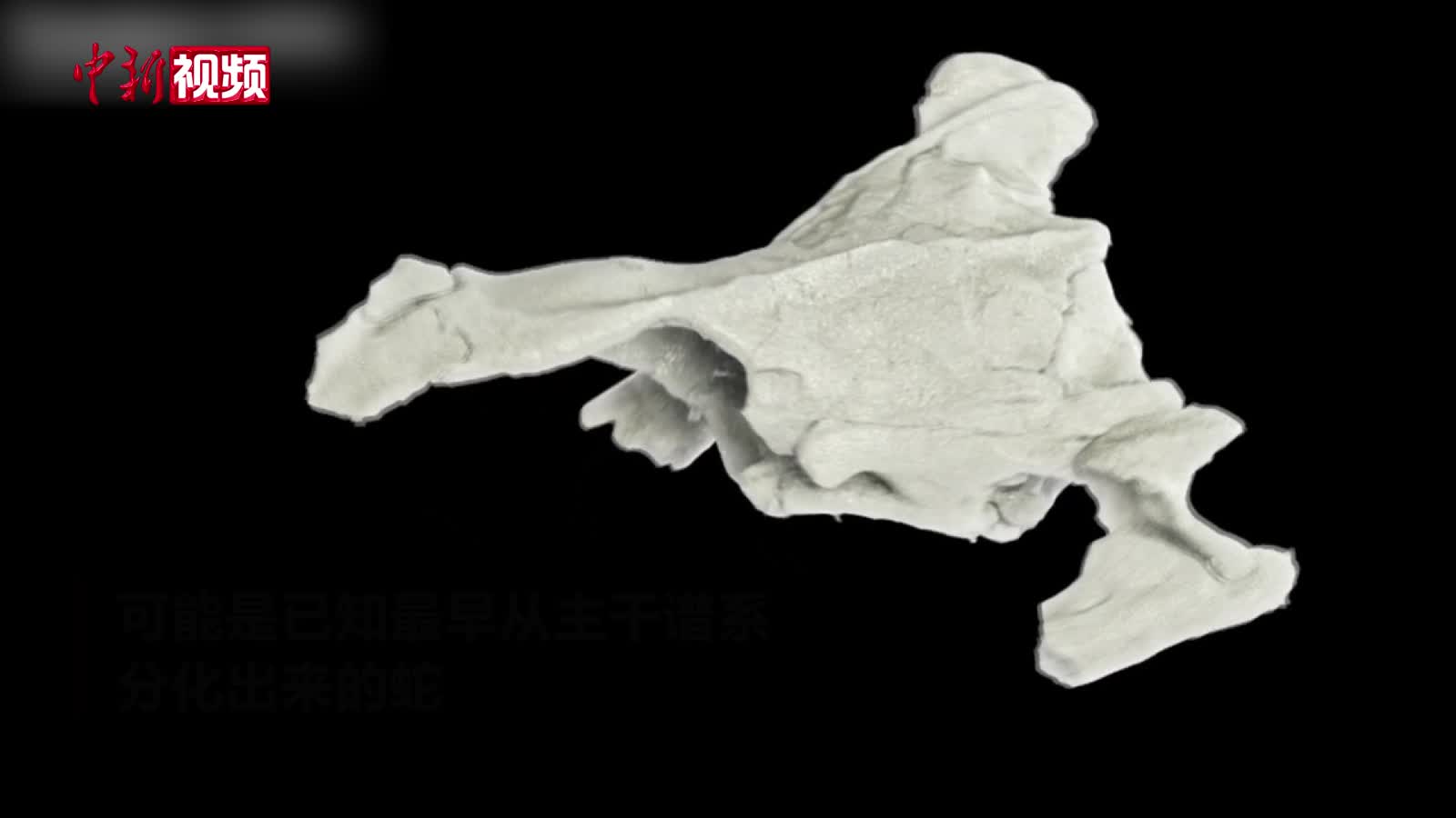 “中国紫菜之乡”的共富密码：一片海，一根杆，7个亿丨开局之年看中国
